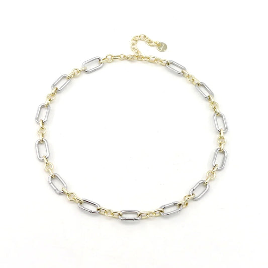 Two Tone Collectors Necklace