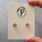 Panache Stud Earrings - Assorted