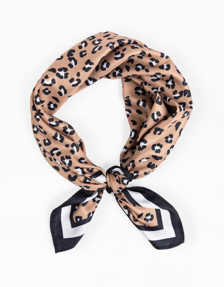 Michelle McDowell Drew Scarves