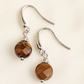 Silver Tiger's Eye Earrings